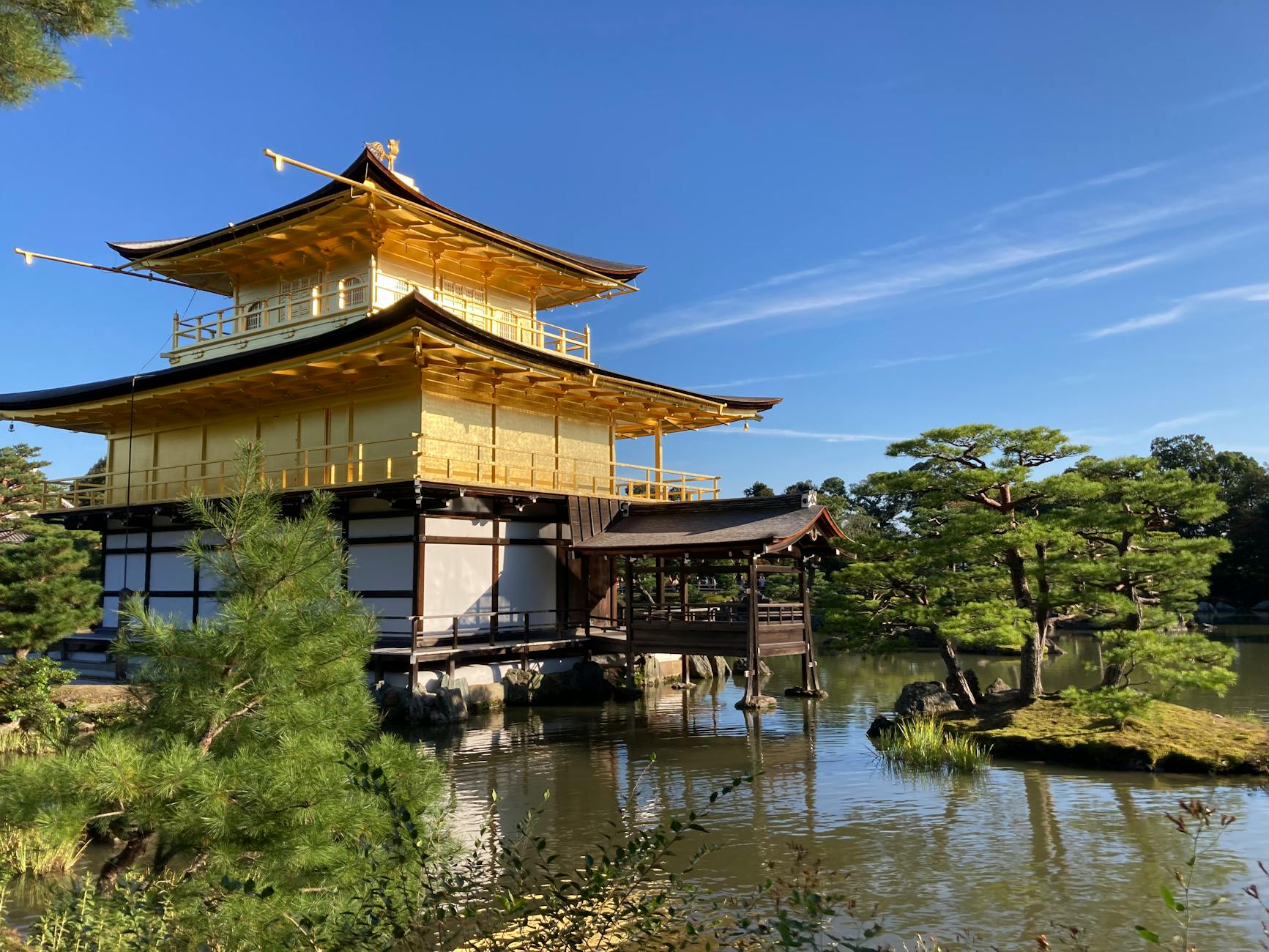 Kostenloses Stock Foto zu bäume, buddhist, japan