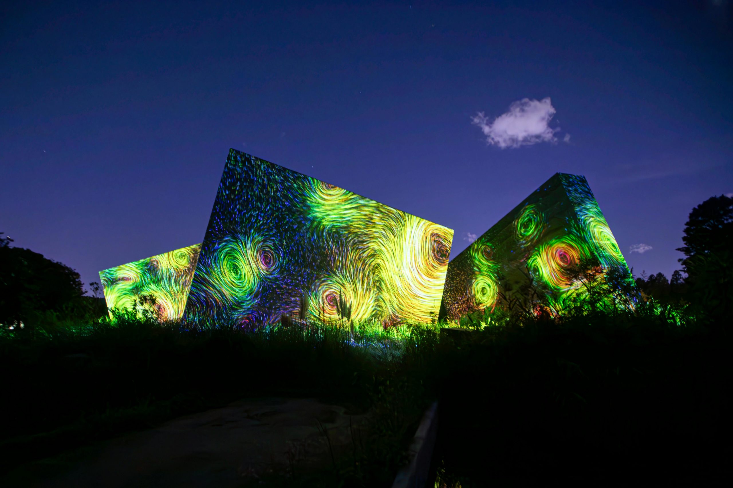 Kostenloses Stock Foto zu beleuchtet, beleuchtung, botanischer garten