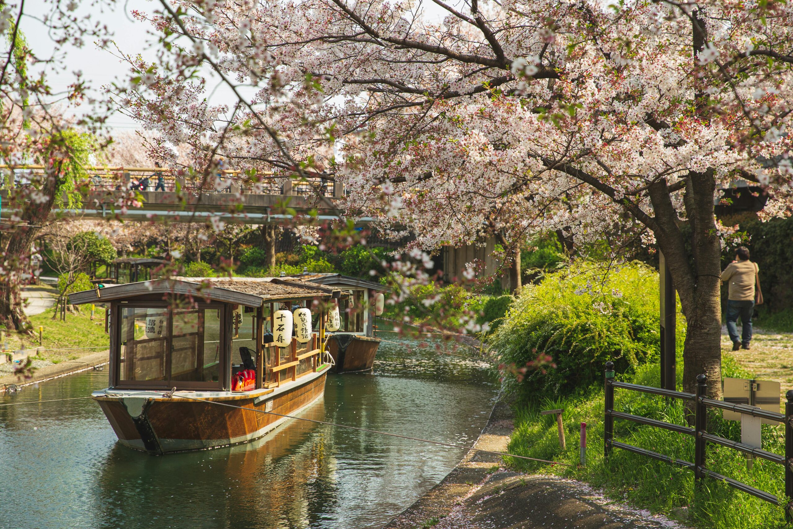 Flusskanal Mit Schwimmendem Boot Im Park