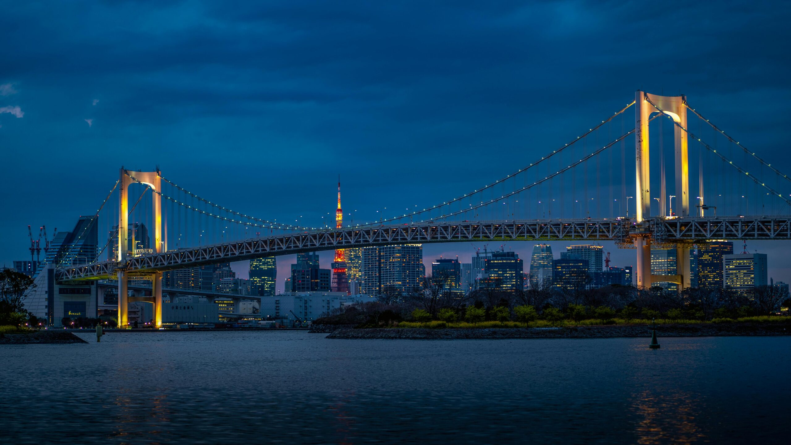 Blick Auf Die Brücke Bei Nacht